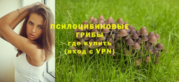 ПСИЛОЦИБИНОВЫЕ ГРИБЫ Арсеньев