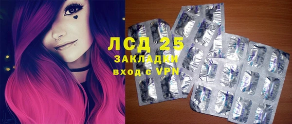 ПСИЛОЦИБИНОВЫЕ ГРИБЫ Арсеньев