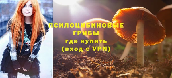 круглые Армянск